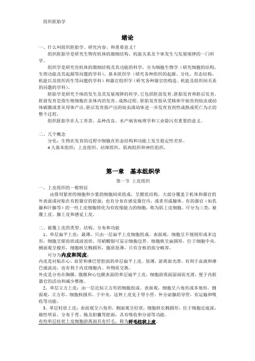 【期末复习总结】组织胚胎学