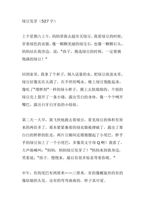 绿豆发芽作文500字