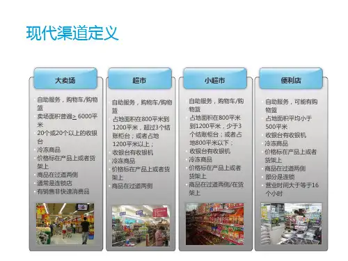 现代渠道定义-尼尔森