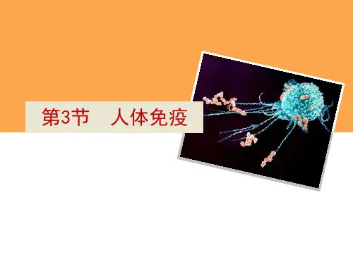 人体免疫ppt课件