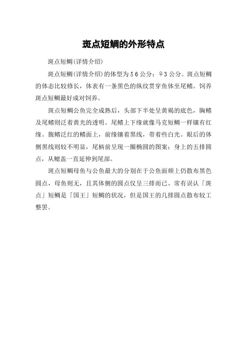 斑点短鲷的外形特点