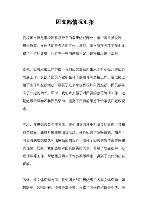 团支部情况汇报