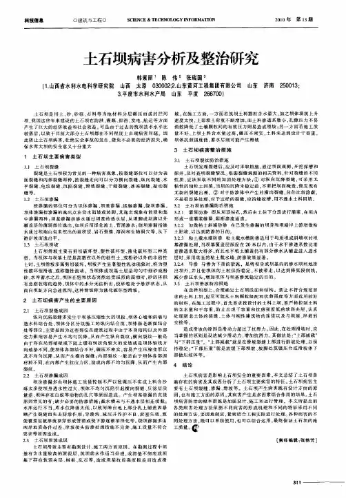 土石坝病害分析及整治研究