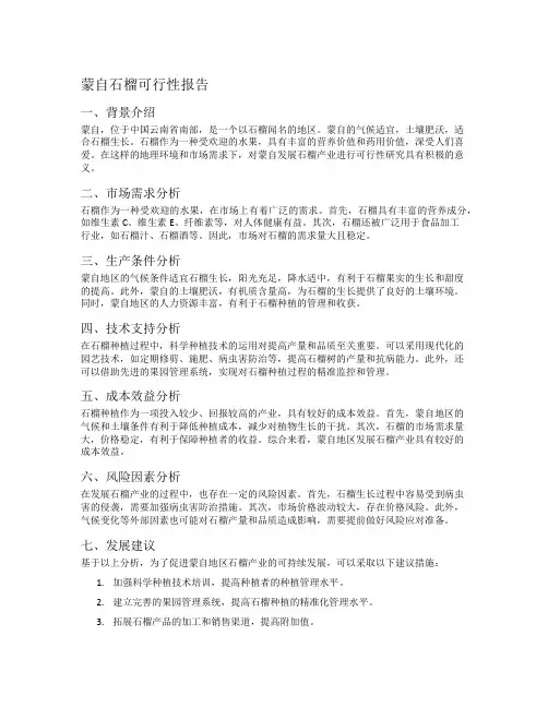 蒙自石榴可行性报告