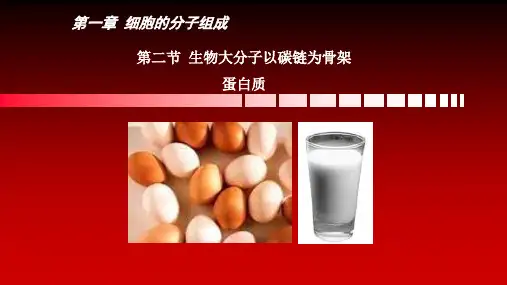高中生物精品课件：蛋白质