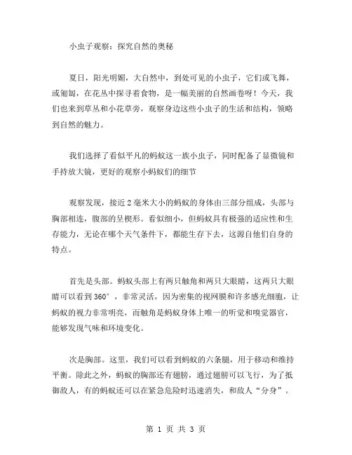 小虫子观察作文范文