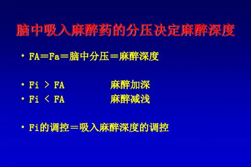 吸入气麻醉药浓度调控讲座PPT