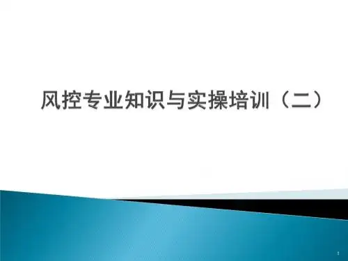 风控专业知识培训ppt课件