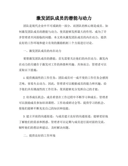 激发团队成员的潜能与动力