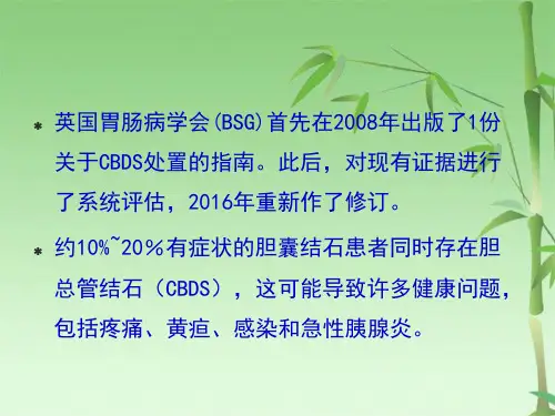 胆总管结石的治疗指南推荐意见(共17张PPT)