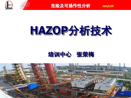 危害识别(HAZOP)