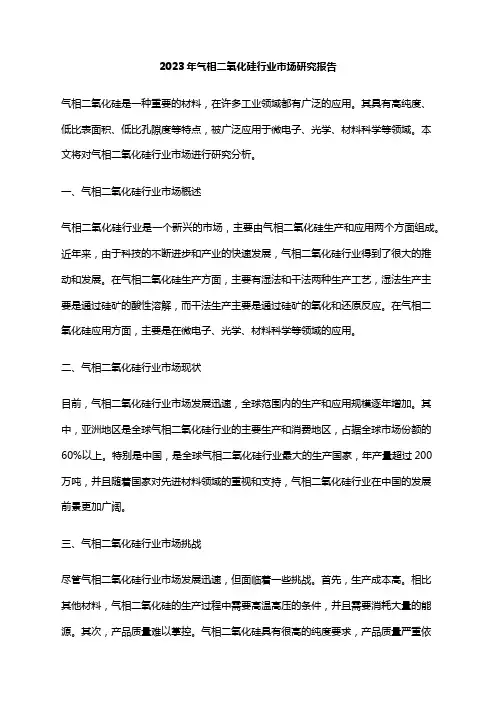 2023年气相二氧化硅行业市场研究报告
