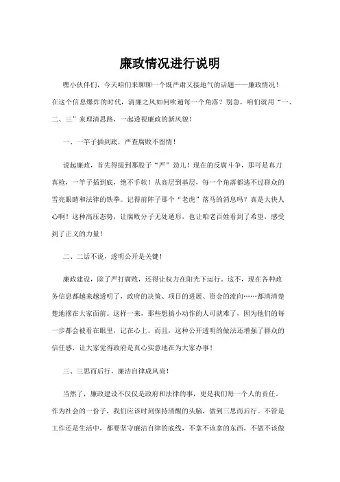 【政务民生】廉政情况进行说明
