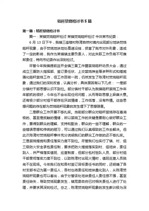 秸秆禁烧检讨书5篇