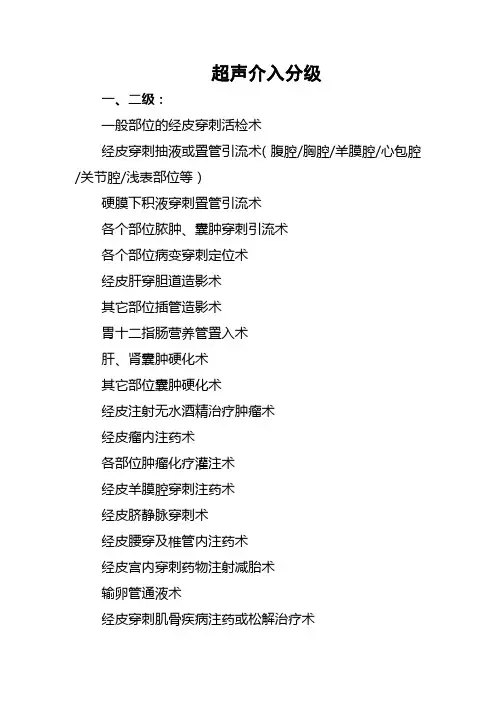 超声介入手术分级