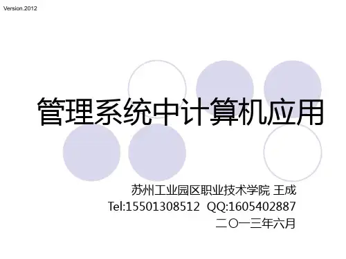 管理系统中计算机应用第八章(老王)课件