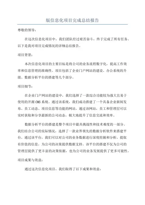 版信息化项目完成总结报告