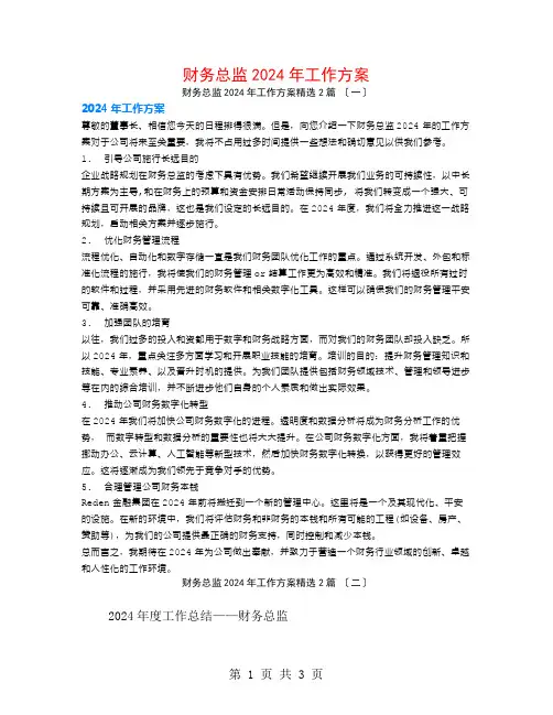 财务总监2024年工作计划2篇