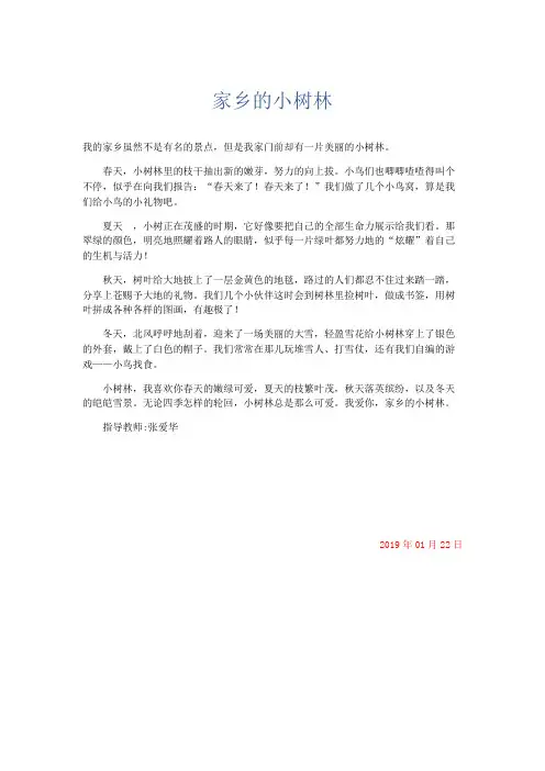 小学作文 家乡的小树林-精品