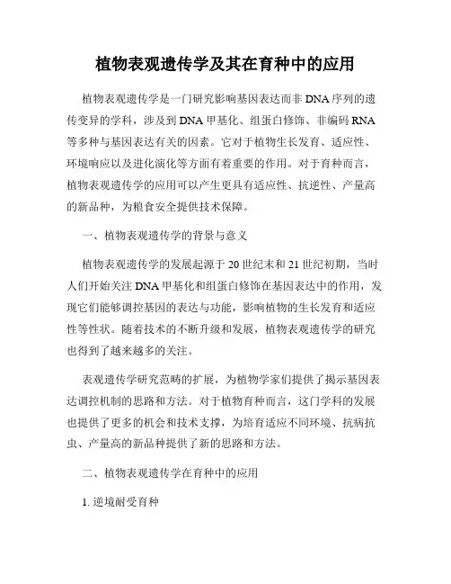 植物表观遗传学及其在育种中的应用