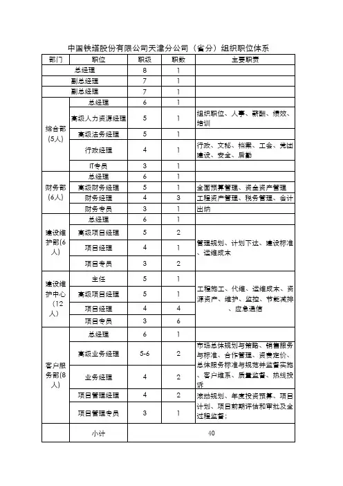 天津铁塔标准职位体系(初稿)