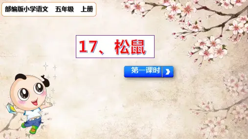 统编版五年级语文上册17松鼠课件(共19张PPT)