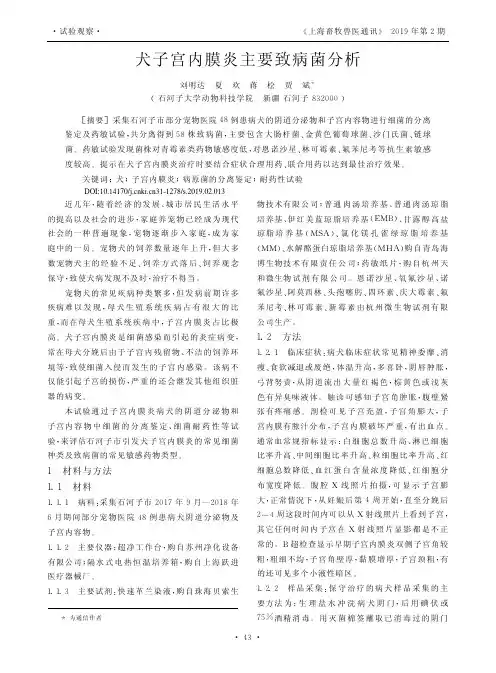 犬子宫内膜炎主要致病菌分析