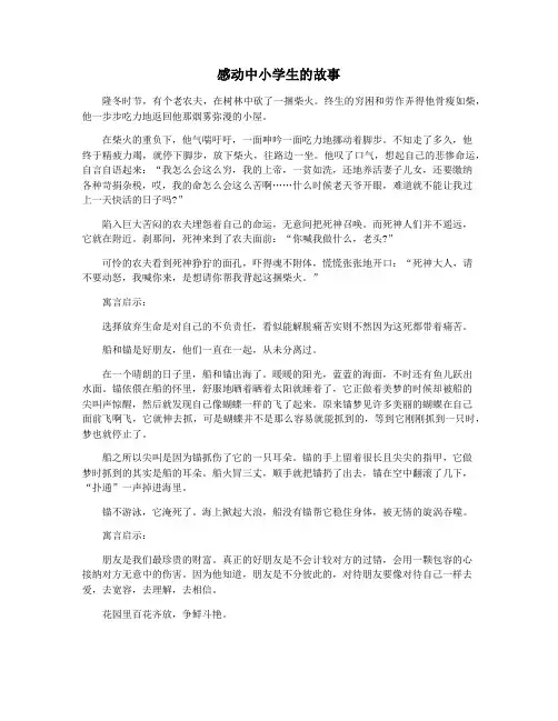 感动中小学生的故事