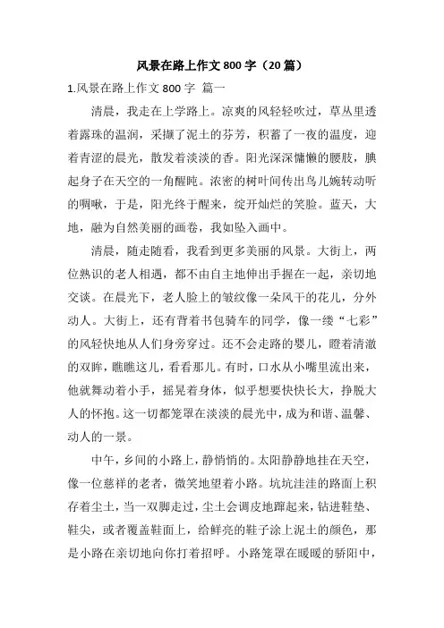 风景在路上作文800字(20篇)