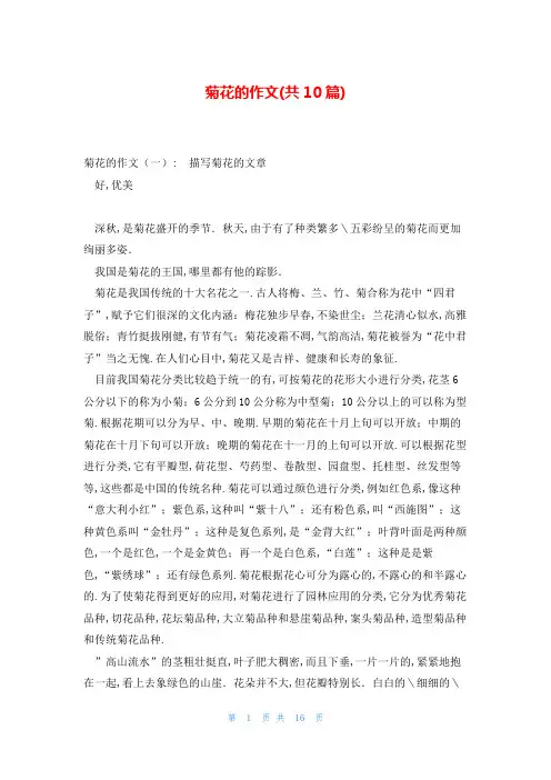 菊花的作文(共10篇)