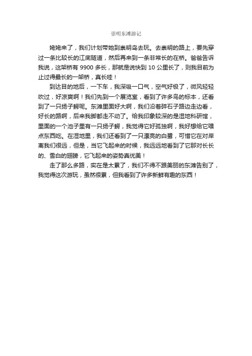 六年级日记：崇明东滩游记