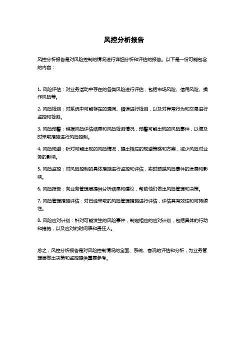 风控分析报告