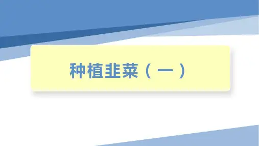 种植韭菜(一)(课件)-四年级劳动教育“小农庄”(校本课程)劳动技术课件