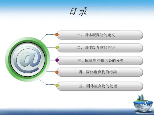 固体废弃物的污染及处理