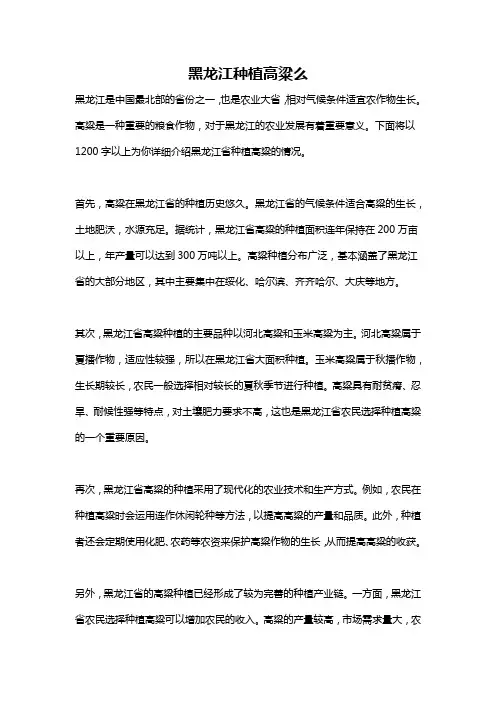 黑龙江种植高粱么