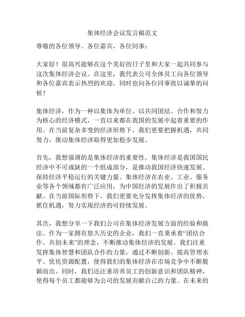 集体经济会议发言稿范文