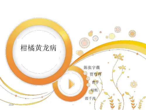 柑橘黄龙病ppt课件