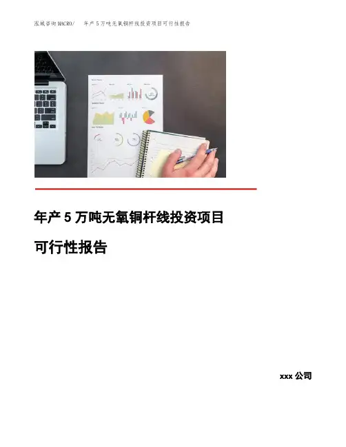 年产5万吨无氧铜杆线投资项目可行性报告
