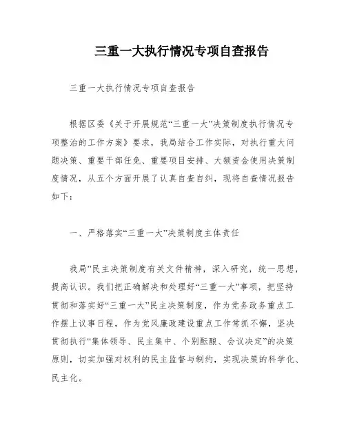 三重一大执行情况专项自查报告