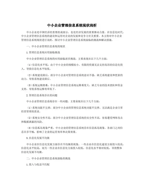 中小企业管理信息系统现状浅析