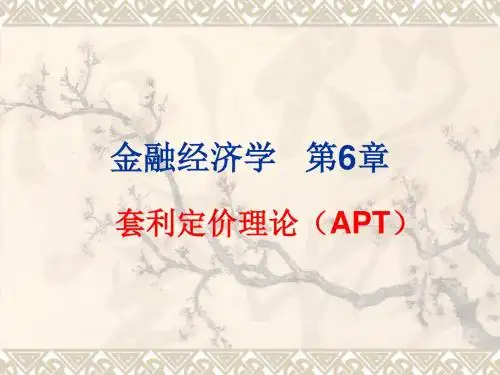 金融经济学-第6章