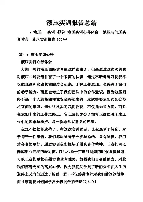 液压实训报告总结