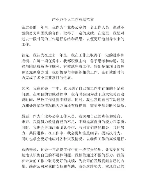 产业办个人工作总结范文