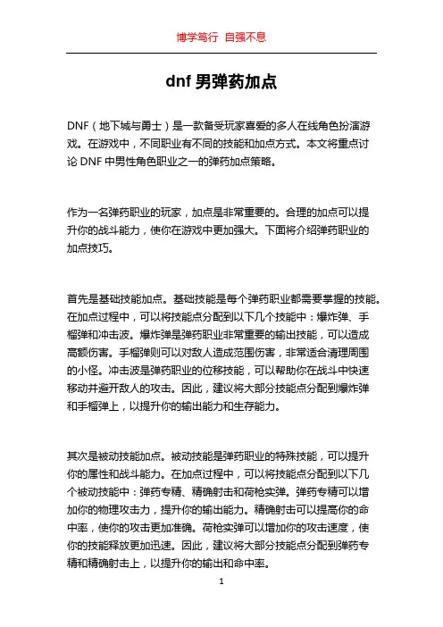 dnf男弹药加点