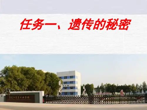 遗传三大基本规律