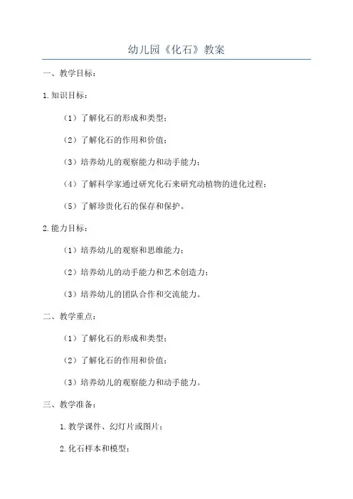 幼儿园《化石》教案
