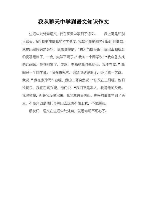 我从聊天中学到语文知识作文