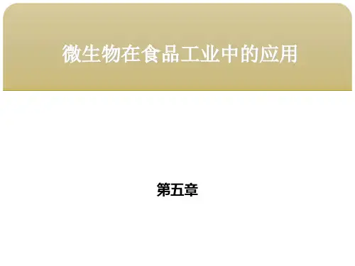 食品微生物学 第五章微生物在食品工业中的应用 第二节微生物与发酵调味品