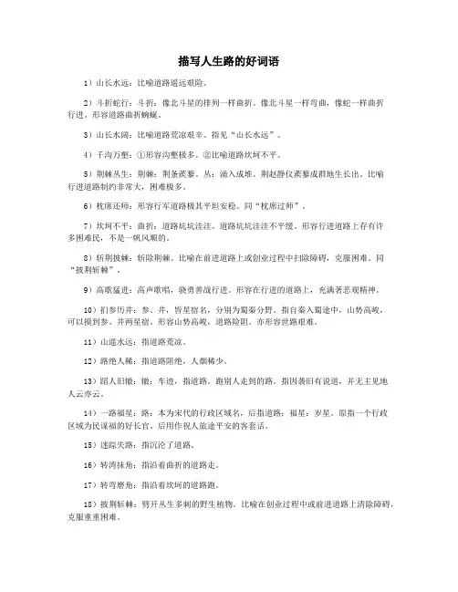 描写人生路的好词语