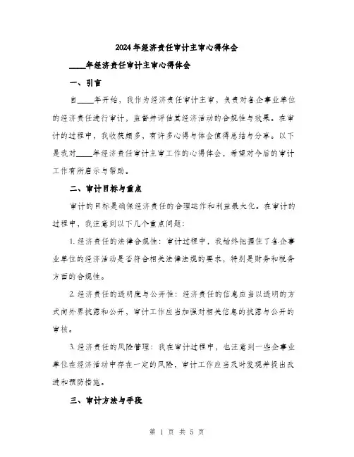 2024年经济责任审计主审心得体会(2篇)